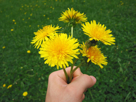 花在手