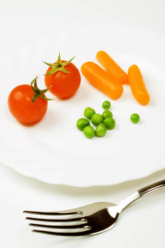 素食食品