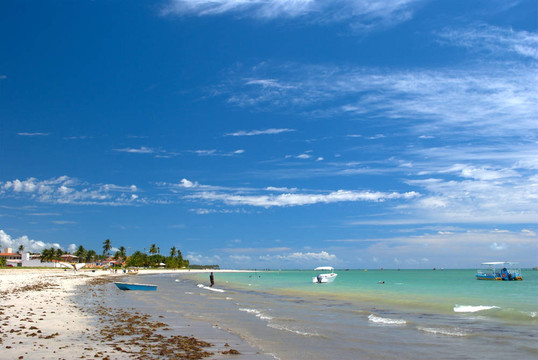 馬賽約晶海綠色；Alagoas；巴西