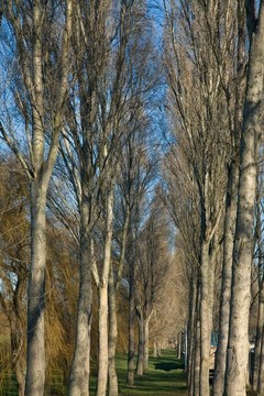 公園
