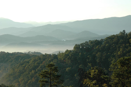 山的樹梢