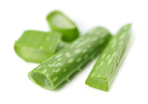 Aloe vera植物碎片