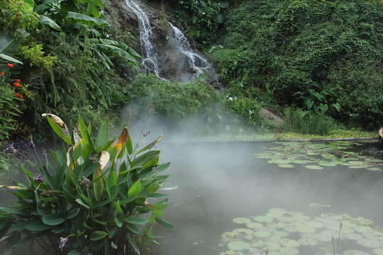 仙境