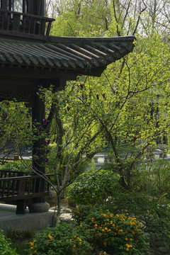 公園景觀