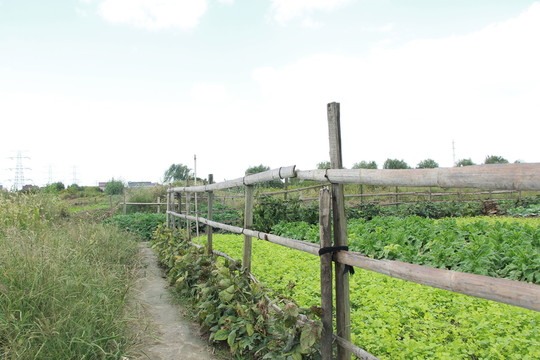 菜園籬笆柵欄