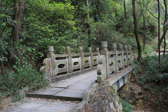 森林小橋