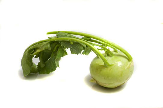 新鮮大頭菜