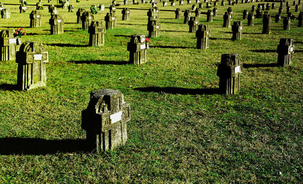 在研究cimitery d Adda