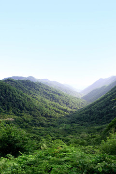 山區(qū)地形