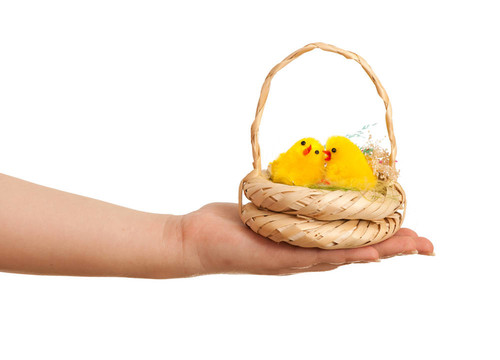 带鸡的复活节篮子