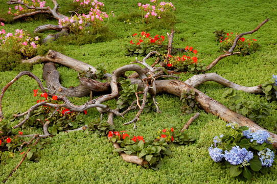 藝術(shù)園林花卉插花