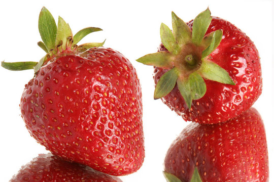 Strawberry在鏡子