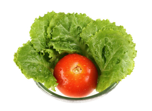 生菜和番茄