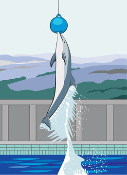 海豚