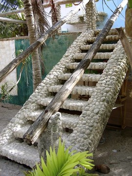 樓梯建在加勒比腦珊瑚
