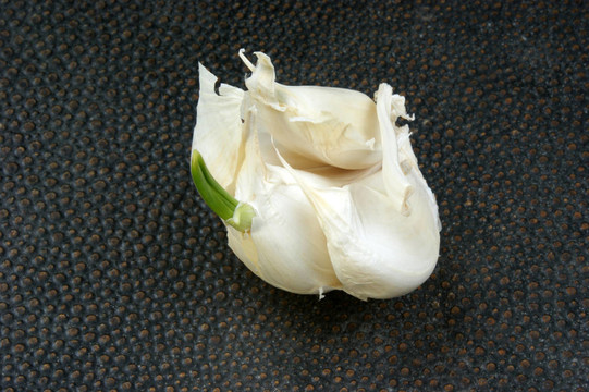 深色背景的新鮮有機(jī)大蒜