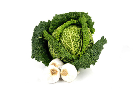 白菜和Garlic