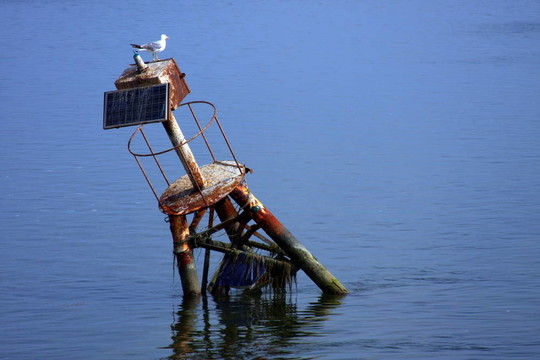 浮標(biāo)