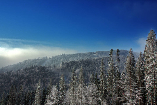 雪山景觀