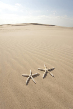 兩海星