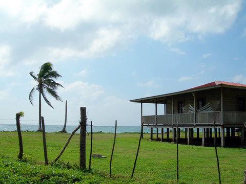 玉米島棕櫚椰樹酒店