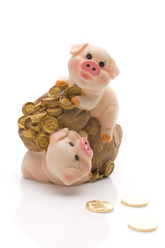 兩只滑稽的豬用白色的金幣袋