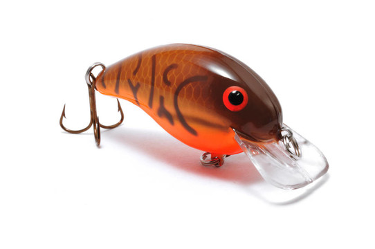 Brown Crankbait與Orange Belly