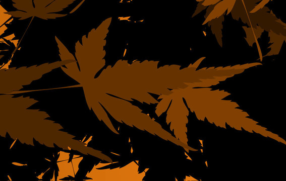 秋花女孩剪影