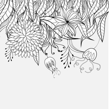 花卉素描