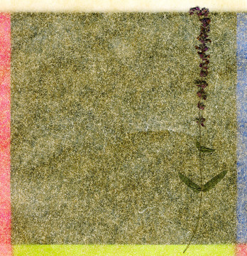 花的背景顏色