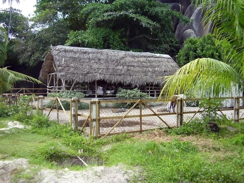 塞舌爾馬場