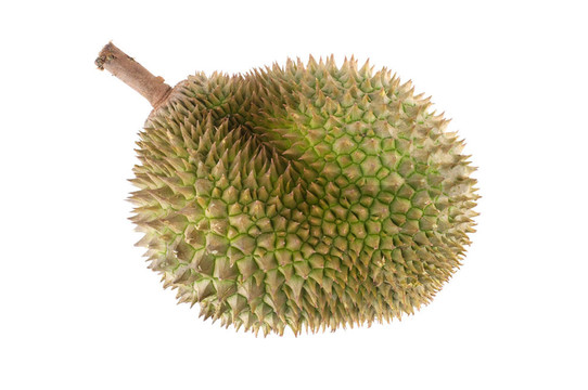 熱帶水果榴蓮