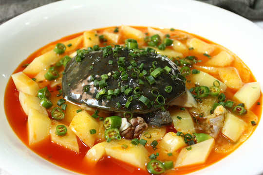 土豆燒甲魚(yú)