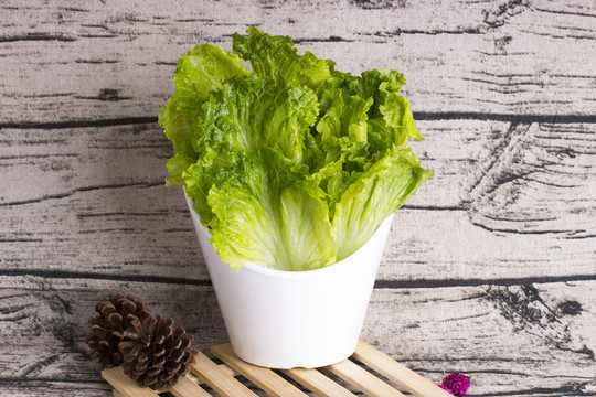 生菜
