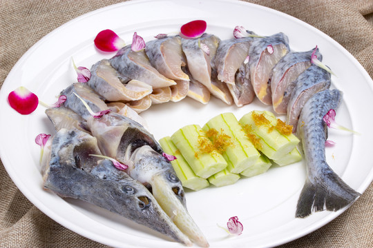 中華鱘魚(yú)
