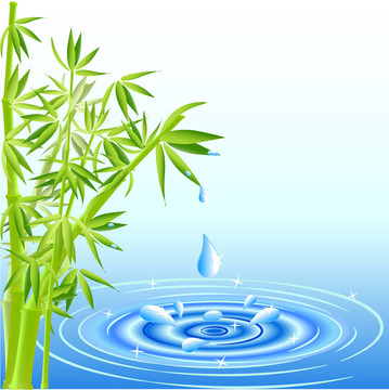 水滴從竹葉落下