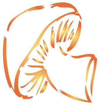 蘑菇的插圖