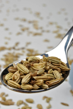 全有機(jī)豆蔻可以用大米
