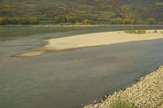 Rhein 06
