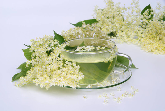 茶老花06