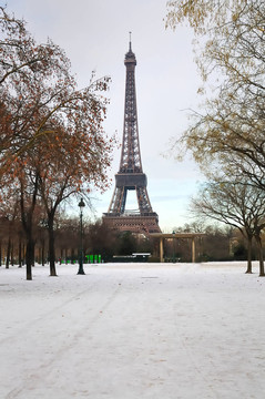 多云的雪埃菲爾鐵塔雪