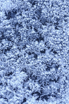 Frost的紋理