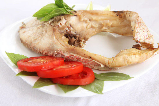 紅鯛魚(yú)