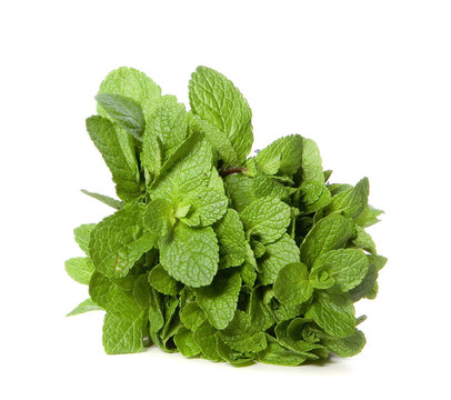 薄荷