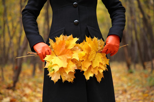 女性手戴紅色手套，黃色葉子
