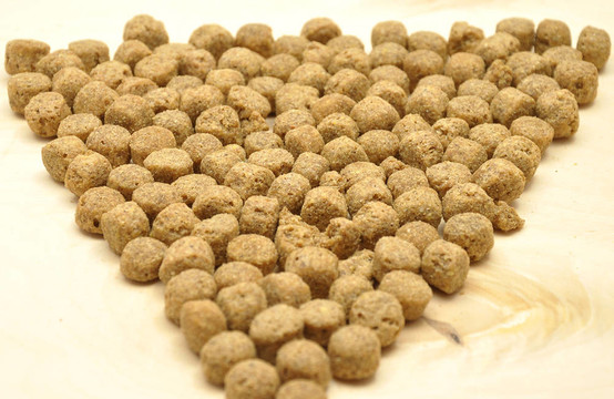 詳細(xì)而簡單的狗食形象