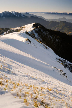 山