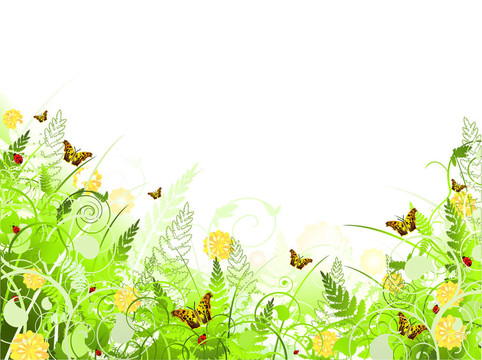 與漩渦花幀插圖；蝴蝶；葉