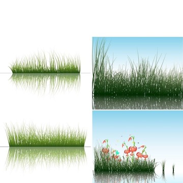 草水