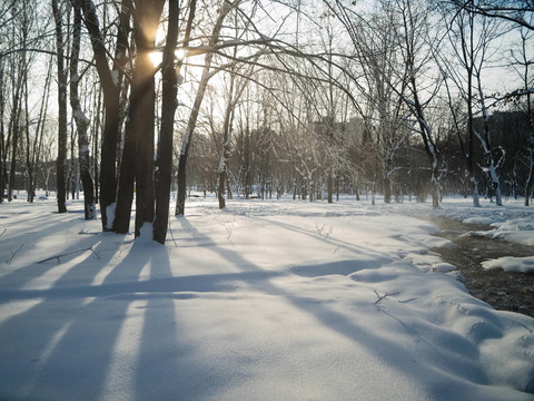 下雪的城市公園